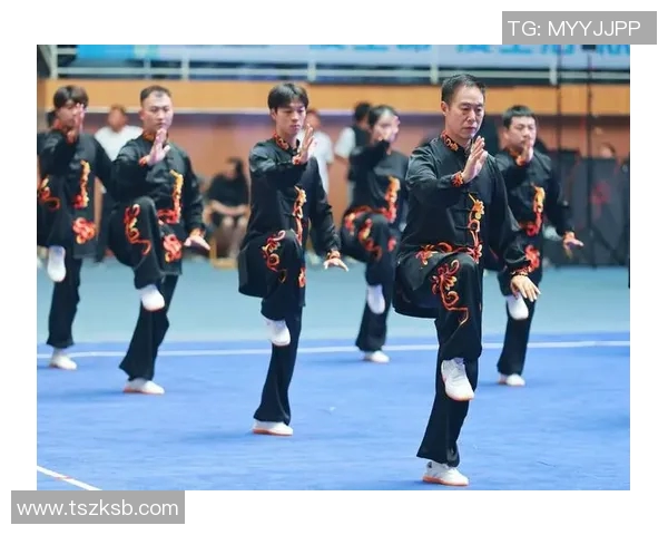 陈家沟太极拳电影:传承与创新的武术艺术之旅