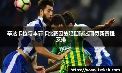 辛达卡拉与本菲卡比赛因故延期球迷期待新赛程安排